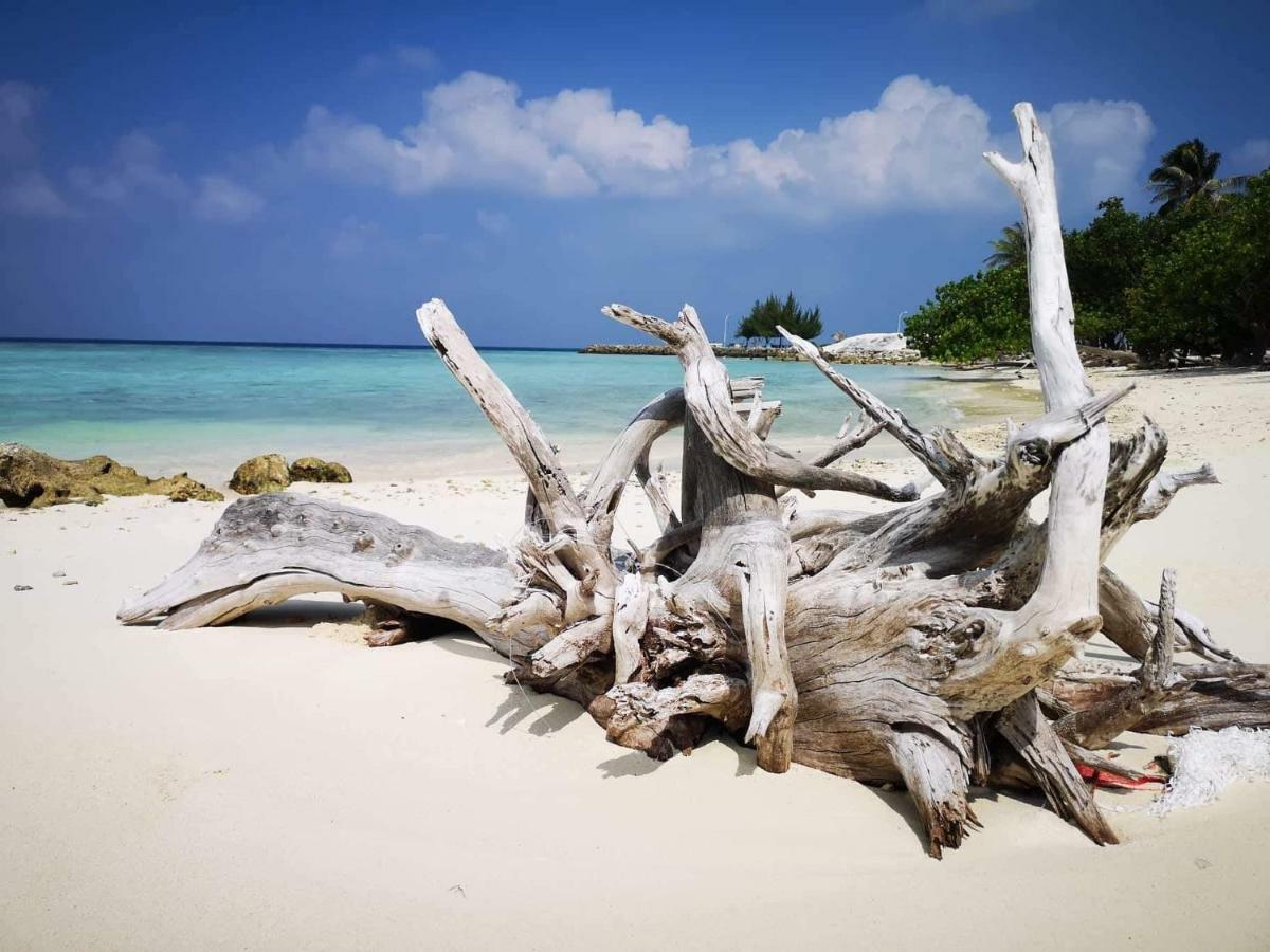 ホテル String Wave Maldives グリ エクステリア 写真